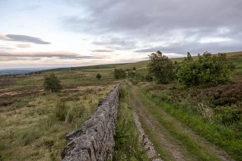 County rack with stone wall trees and fields in the Peak District Stock Photos