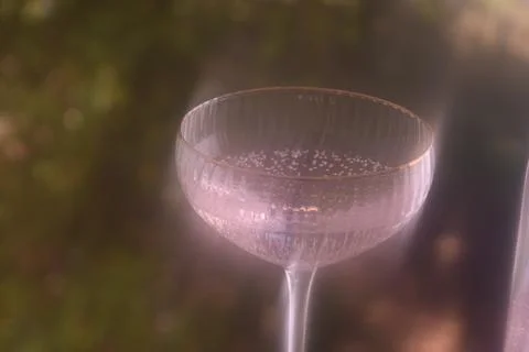 Coupe Glass with Liquid Stock Photos