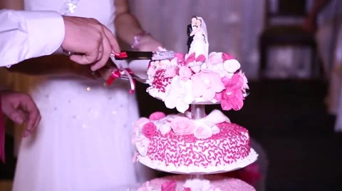 The couple and the wedding cake2 Stock Footage 45833504
