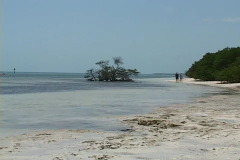 Couple On Anne's Beach Video stock 843614