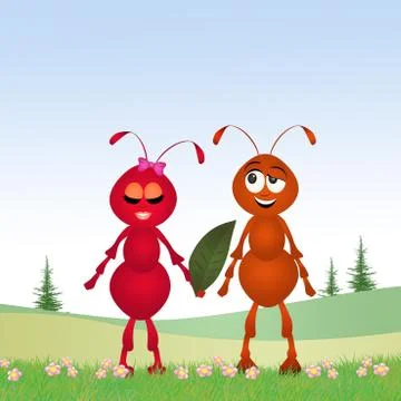 Couple of ants Stock Illustration