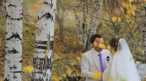The couple are on the background of birch trees. Vidéo 57904954