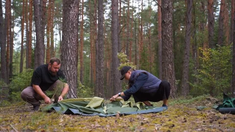 Couple assembling and pitching a tent in a pine forest Stock Footage 327130012