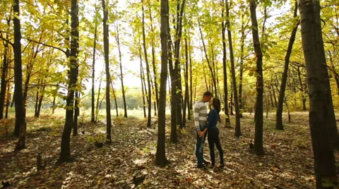 Couple in Autumn Forest Stock Footage 33818087