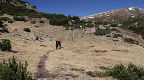 Couple of backpackers hiking Stock Footage 40254603