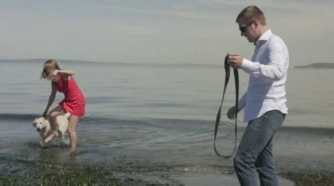 Couple on Beach with Dog Stock Footage 40273516