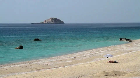 A couple on the beach Stock Footage 24736140