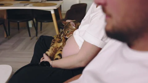 Couple With Bengal Cat Sitting On Couch Stock Footage 325720551