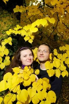 Couple in the branches Stock Photos