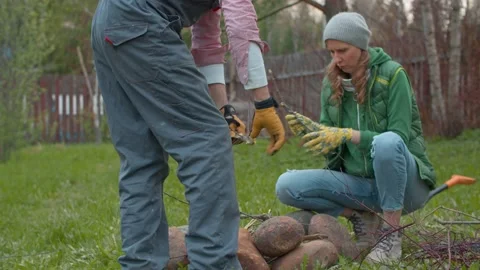 Couple breaking a tree branches for a bonfire Stock Footage 130810233