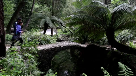 Couple on the bridge Video stock 31997832