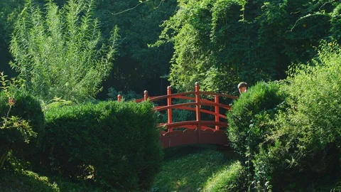 Couple on a bridge Stock Footage 99964501