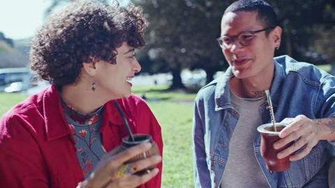 Couple Chatting, Laughing and Drinking Traditional Mate Tea at Park Picnic Stock Footage 345384763