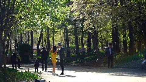 Couple checking photos Stock Footage 88756963