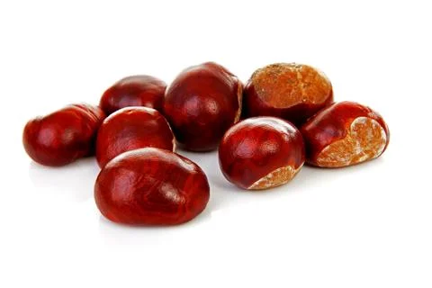 Couple of chestnuts Stock Photos