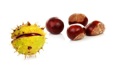 Couple of chestnuts Foto stock