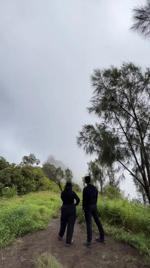 Couple climbing a mountain Stock Footage 340126992
