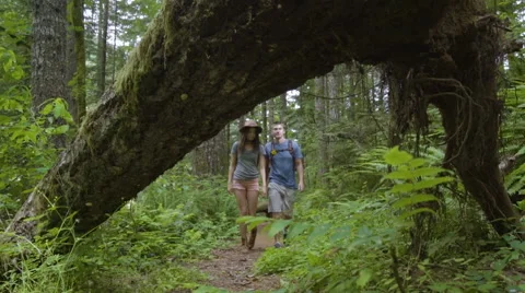 Couple Come To A Fallen Tree On Path, Man Goes Under It, Woman Jumps Over It Video stock 68302770
