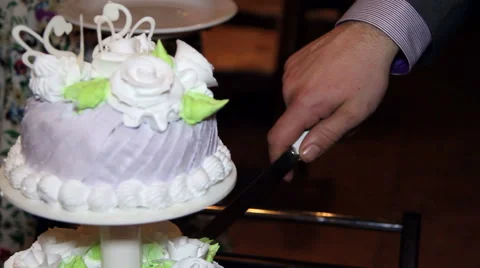 The couple cut the wedding cake Stock Footage 61693694