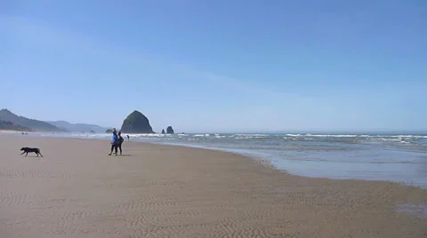 Couple With Dog at Beach Stock Footage 22899525