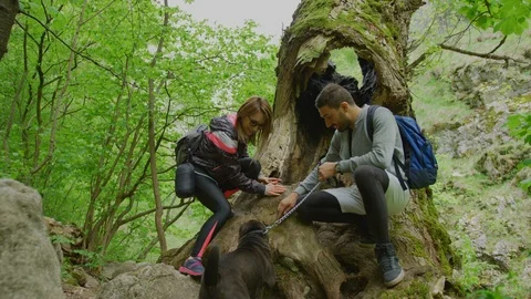 Couple with a dog Stock Footage 99962884