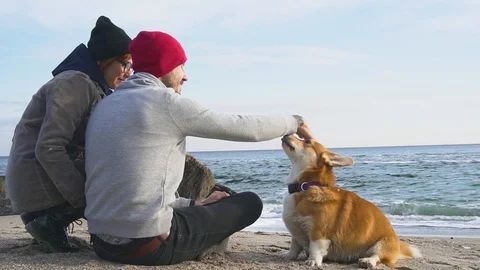 Couple with dog Stock-Footage 101022416