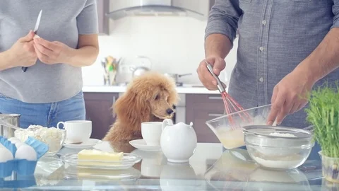 Couple with dog is making breakfast . Stock Footage 81175042