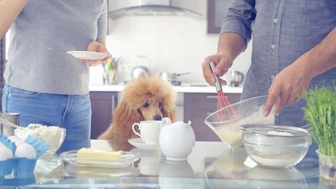 Couple with dog is making breakfast . Stock Footage 81175176