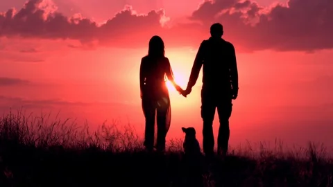 Couple with dog posing at sunrise Stock Footage 127870570