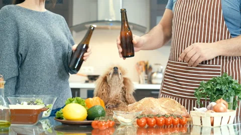 Couple with dog is preparing supper and drinking beer . Stock Footage 85786185