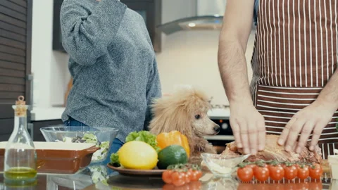 Couple with dog is preparing supper and drinking beer . Stock Footage 85788276