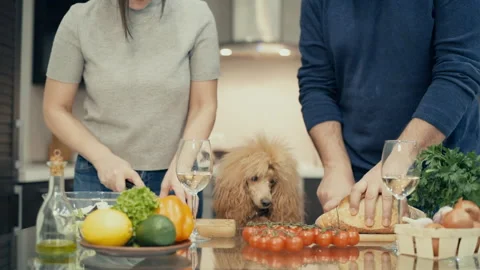 Couple with dog is preparing supper . Stock Footage 85786628