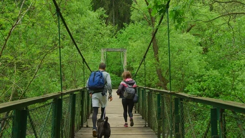 Couple with dog running on a bridge Stock Footage 99962271
