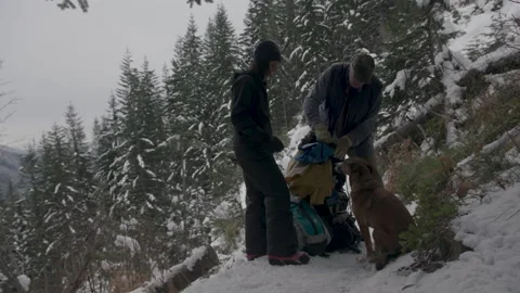 Couple with dog taking a break during winter hiking Stock Footage 331658576