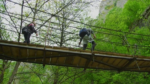 Couple with dog walking on a bridge Stock Footage 99963260