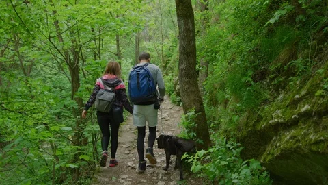 Couple with dog walking on a path Stock Footage 99962972