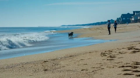 Couple with Dogs Playing on Beach in Outer Banks NC Stock Footage 73027026