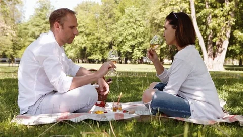 Couple drink wine in the park during the picnic Stock-Footage 80665570
