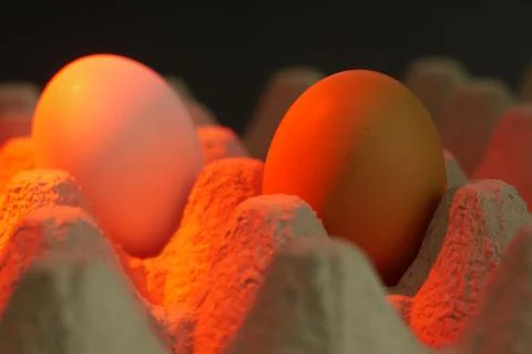 Couple of eggs in an egg cup Stock Photos