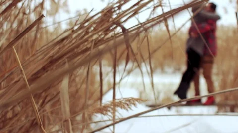 A couple embraces in the reeds Stock Footage 104260136
