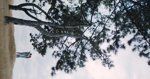 A couple embracing under a beautiful tree in a serene landscape, capturing love Stock Footage 318517522