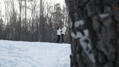 Couple embracing in winter park Stock Footage 87346181