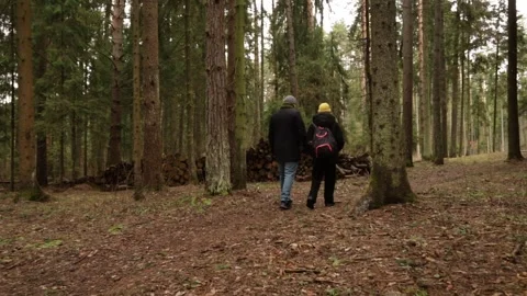 Couple engaged in forest therapy or mindful walking through a natural lands.. Stock Footage 308224850