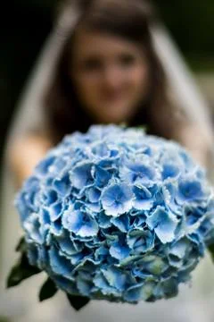 The couple is enjoying getting ready and the beautiful wedding. Stock Photos