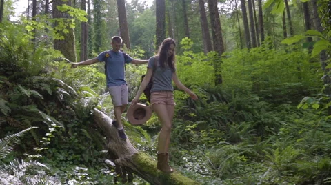 Couple Explore A Rainforest In The Pacific Northwest, They Cross A Log Together Video stock 68334396