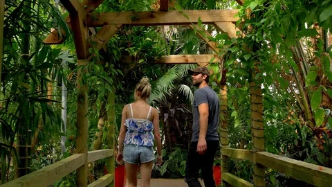 Couple Explores Beautiful Conservatory Stock Footage 97125334