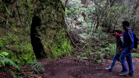 Couple exploring nature Stock Footage 42970841
