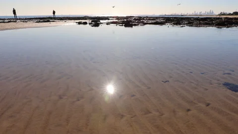 Couple exploring rockpools at Brighton beach, Melbourne Video stock 157618595