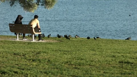A Couple Feeding Birds Video stock 199511249