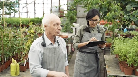 Couple of gardener checking and keeping records of plants in greenhouse Stock Footage 122914264